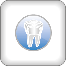 ARGEN Dental GmbH - Produkte - Inka Teeth
