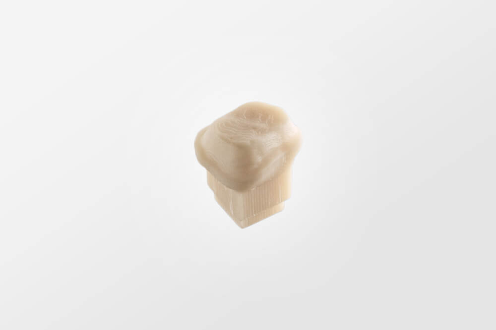 ARGEN Dental GmbH - Dienstleistungen - 3D Druck - Stumpf ARGEN Dental GmbH - Dienstleistungen - 3D Druck - Stumpf
